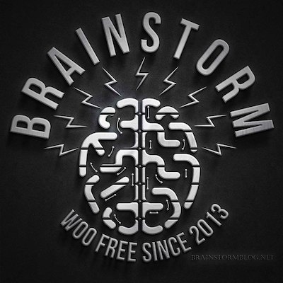 Brainstorm logo: top-down drawing of brain with lightning sparking off it. Additional text: Woo free since 2013.